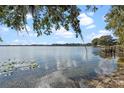 Still lakeside image with lilypads and a dock in the distance under a partly cloudy sky at 604 Desoto Dr, Casselberry, FL 32707