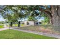 Cozy home featuring a fenced yard and beautiful mature tree at 7810 Grevillea Dr, Orlando, FL 32822
