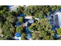 Aerial shot of house surrounded by dense tree cover, offering privacy at 32645 Red Oak Dr, Eustis, FL 32736