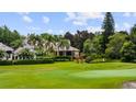 Expansive yard with lush green grass, mature trees, and meticulously maintained landscaping at 6138 Greatwater Dr, Windermere, FL 34786
