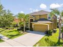 Inviting curb appeal with a well-maintained lawn, palm trees, and a spacious driveway leading to an attached garage at 2515 Dharma Cir, Kissimmee, FL 34746