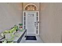 Inviting front entrance featuring a white door with decorative glass and plants at 2235 Meadowmouse St, Orlando, FL 32837
