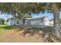 View of the charming single-story home with a well-maintained lawn at 702 Pasteur Ln, Kissimmee, FL 34759
