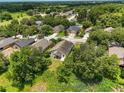 Sprawling neighborhood with lush greenery and mature trees surrounding well-maintained homes at 25212 Ironwedge Dr, Sorrento, FL 32776