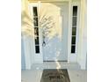 Welcoming front door featuring sidelights and a 
