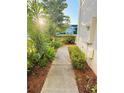 View of sidewalk, lush greenery, and sunlight cascading through the trees at 15258 Windmill Harbor Ct, Orlando, FL 32828