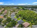 Wide aerial shot showcases a neighborhood with mature trees and beautiful sunny skies at 5852 Stafford Springs Trl, Orlando, FL 32829