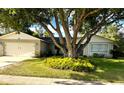 Charming house with a stone facade, two-car garage, manicured lawn, and mature shade trees at 139 Stoney Ridge Dr, Longwood, FL 32750