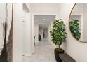 Bright hallway with tile flooring, decorative plant and mirror leading to other areas of the home at 3866 Cabo Rojo Dr, St Cloud, FL 34772