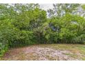 A fenced backyard surrounded by lush greenery, offering privacy and space for outdoor enjoyment at 1421 Summit Hill Dr, Deltona, FL 32725