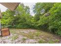 A fenced backyard surrounded by lush greenery, offering privacy and space for outdoor enjoyment at 1421 Summit Hill Dr, Deltona, FL 32725
