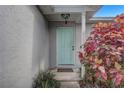 Close up of the front door with a light blue door, neutral walls and vibrant plants at 1821 Geigel Ave, Orlando, FL 32806