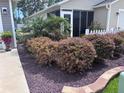 Beautifully landscaped front yard with lush greenery and decorative landscaping details at 3328 Davis Ter, The Villages, FL 32163