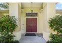 Grand double door entrance with elegant columns and a hanging lantern, creating a welcoming first impression at 2905 Elbert Way, Kissimmee, FL 34758