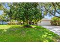 Landscaped front yard featuring a large shade tree enhancing the curb appeal of this inviting single-Gathering home at 2905 Elbert Way, Kissimmee, FL 34758