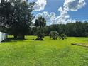 Lush green backyard with a variety of trees, bathed in sunlight and open sky at 431 Eagle Dr, Poinciana, FL 34759