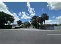 View of a neighborhood street featuring lush palm trees and glimpses of the houses at 448 S Meander Dr, Altamonte Springs, FL 32714