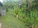 Secluded backyard with lush greenery offering privacy and natural beauty at 679 Midori St, Orlando, FL 32811
