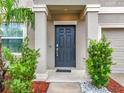 Inviting front entrance with decorative plants and well-maintained landscaping at 16436 Fernridge St, Clermont, FL 34714