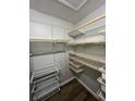 Walk-in closet with wire shelving at 5953 Westgate Dr # 1821, Orlando, FL 32835