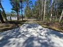 Long driveway approaching the house with trees on both sides at 3174 Sw 189Th Ave, Dunnellon, FL 34432