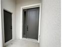 Modern front door with sidelight, set in a stucco entryway, and a dark color at 10131 Sw 41St Ave, Ocala, FL 34476