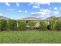Well-maintained backyard featuring lush greenery, privacy shrubs and green lawn at 7709 Sw 86Th Ct, Ocala, FL 34481
