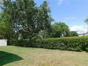 Well-manicured backyard with privacy hedge is a great place to play and relax outdoors at 4085 Sw 49Th Ave, Ocala, FL 34474