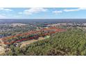 Aerial view of a long property with mature trees at 10249 Nw 21St St, Ocala, FL 34482