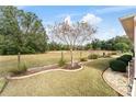 Landscaped backyard with a large grassy area and mature trees at 9910 Se 138Th Loop, Summerfield, FL 34491