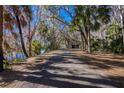 Driveway leading to a detached garage nestled among trees at 4925 Cr 309B, Lake Panasoffkee, FL 33538