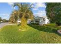 Single story home with palm tree and spacious lawn at 1616 San Diego St, The Villages, FL 32159