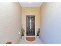 Front entry with dark door, plants, and light walls at 7646 Sw 129Th Pl, Ocala, FL 34473