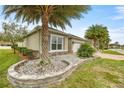 Landscaped curb appeal with palm trees and stone accents at 5015 Belted Kingfisher Dr, Oxford, FL 34484