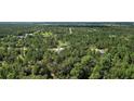 High-angle view showing home's location in a wooded, secluded area at 22777 Sw Surf Blvd, Dunnellon, FL 34431