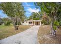 Lovely single-story home with a long driveway and attached carport surrounded by mature trees at 2501 Nw 20Th St, Ocala, FL 34475