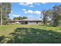 Spacious backyard with lush green grass and mature trees at 8 Juniper Track Dr, Ocala, FL 34480