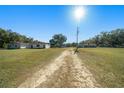 Driveway approaching two houses with sunny skies and mature trees at 4248 Ne 175Th Street Rd, Citra, FL 32113