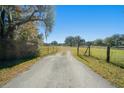 Long private driveway leading to two houses on a spacious property at 4248 Ne 175Th Street Rd, Citra, FL 32113
