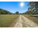Dirt driveway leading to a home with open green fields on either side at 4248 Ne 175Th Street Rd, Citra, FL 32113