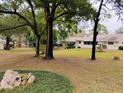 Large backyard with lush lawn and mature trees at 8707 Sw 88Th Court Rd # B, Ocala, FL 34481