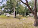 Wooded backyard with mature trees and landscaping at 8707 Sw 88Th Court Rd # B, Ocala, FL 34481