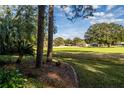 Landscaped yard with a view of a lush green golf course beyond at 10801 Sw 71St Ave, Ocala, FL 34476