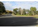 Landscaped entrance to a residential community with palm trees and lush greenery at 11500 Sw 136Th Pl, Dunnellon, FL 34432