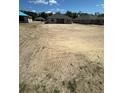 New construction homes are displayed in an open backyard with newly laid sod and clear skies at 3168 Ne 46Th Ave, Ocala, FL 34470