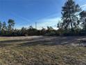 Empty lot adjacent to the property at 15801 Sw 37Th Cir, Ocala, FL 34473