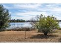 Lake view from backyard with chain link fence and mature trees at 4 Hickory Track Trce, Ocala, FL 34472