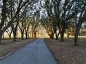 Long private driveway lined with lush oak trees creating a picturesque entrance at 6255 Mercantile Ln, Fort Meade, FL 33841