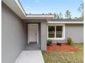 Close-up of a front door with white trim, framed by a gray exterior, and minimal landscaping at 13910 Sw 113 Ln, Dunnellon, FL 34432