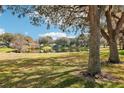 Scenic community pond view with mature trees and lush green space under a bright blue partly cloudy sky at 1517 New Abbey Ave, Leesburg, FL 34788